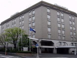 Pearl Hotel Mizonokuchi Kawasaki  Quarto foto